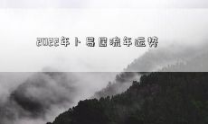 2022年卜易居流年运势