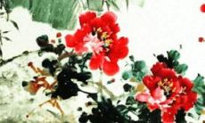 属马人虎年运势2022年买车