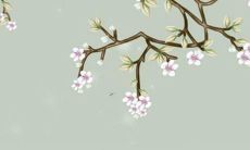 72年的女鼠2022年运势如何