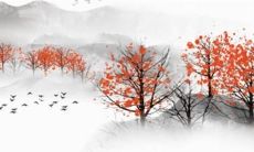 羊女2022虎年运势