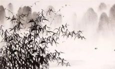 属牛的2022年爱情运势