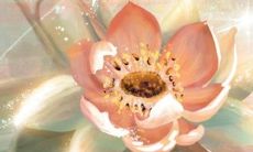 属狗人2022年吉利和不利方位 十二个月不同方位详解