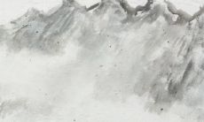 1996年属虎人2022年运势