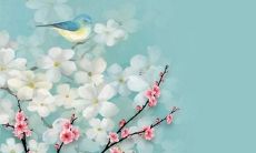 夫妻属龙的人2022年运势如何