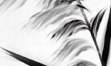 94年出生的28岁属狗人2022年全年运势好不好