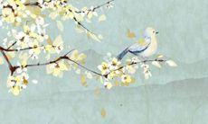 属龙人2022全年的运势