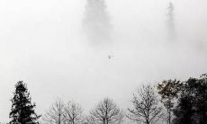 属鼠的人2022年全年运势免费