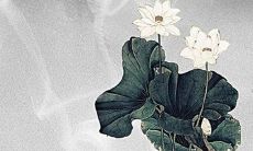 丙子日2022壬寅年运势