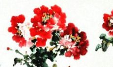 庚寅虎2022年运势