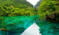 十二生肖哪个会被鬼害 晚年必暴富的4大生肖