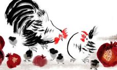 1945年出生77岁生肖鸡女2021年运势 45年今年运气如何