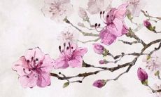 2022学业运势好的图片