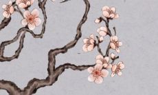 虎年最旺的四个属相2022