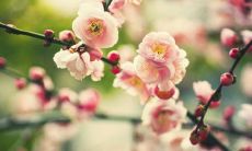 相学天机-骨相和神态哪个最重要