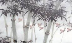 2022年属牛人全年运势和财运