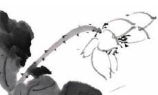 天蝎女最近运势2022