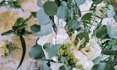 宫位和星座有什么区别