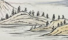 86年苦命虎2022年运势