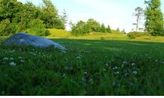 属鸡和属兔的夫妻 婚姻要注意什么