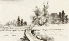 生肖学业运势2022年免费