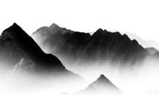 1982的属狗女命2022年恋爱桃花 40岁虎年婚姻运势