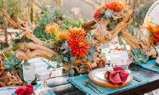 家庭暴力最多的星座