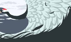 鼻子看相 狮子鼻女人面相图解