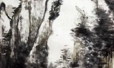 属虎的明年犯什么太岁