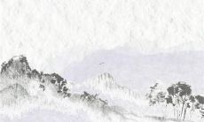 2022年属虎年犯太岁的生肖