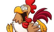 1993年属鸡男2022年运势及运程如何 93年29岁生肖鸡2022虎年全年每月运势男性