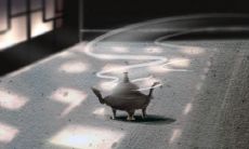 九夫痣是什么意思 额头九夫痣要注意什么