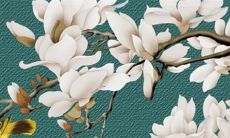 2022年鸡女的运势1969年