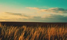 出轨率最高的星座女 爱妻如命的星座男