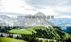 1980庚申猴2022年运势