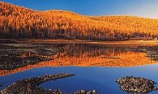 男人左眼跳是好是坏 男性左眼跳预示着什么