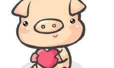 1971年属猪女人2022年运势及运程如何 71年51岁生肖猪2022年全年每月运势女性