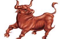 1985年属牛男2022年运势及运程如何 85年37岁生肖牛2022虎年全年每月运势男性