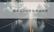 麦玲玲2022年生肖猴运势