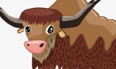 1973年属牛女人2022年运势及运程如何 73年49岁生肖牛2022年全年每月运势女性