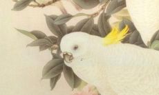 87年属兔人2022年健康运势