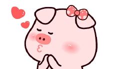 1983年属猪男2022年运势及运程如何 83年39岁生肖猪2022虎年全年每月运势男性