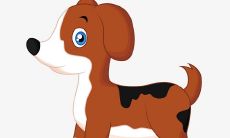 1982年属狗男2022年运势及运程如何 82年40岁生肖狗2022虎年全年每月运势男性