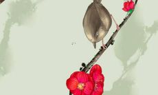 属猪的人2022年整体运势