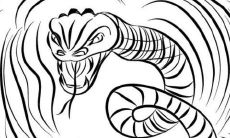 1977年属蛇女人2022年运势及运程如何 77年45岁生肖蛇2022年全年每月运势女性