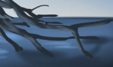 做好事不想留名的面相