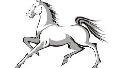 1978年属马女人2022年运势及运程如何 78年44岁生肖马2022年全年每月运势女性