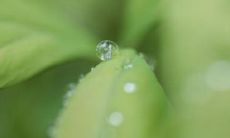 辛酉年太岁是哪一位，辛酉太岁石政大将军传略