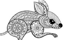 1984年属鼠女人2022年运势及运程如何 84年38岁生肖鼠2022年全年每月运势女性