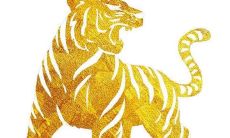 1986年属虎女人2022年运势及运程如何 86年36岁生肖虎2022年全年每月运势女性