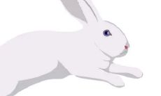 1987年属兔女人2022年运势及运程如何 87年35岁生肖兔2022年全年每月运势女性